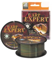 Волосінь Carp Expert Boilie Special 300м 30125025 фото